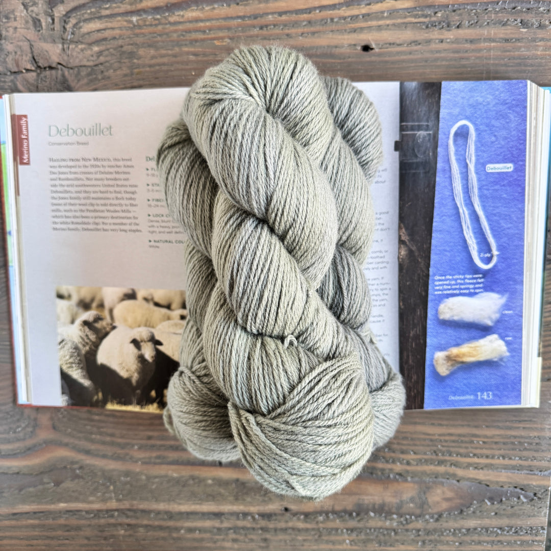 Heritage Wool Collective - Debouillet Fingering - Cutting Stone
