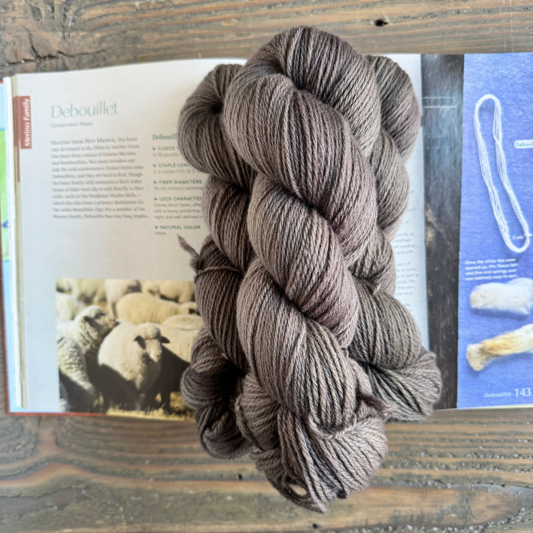 Heritage Wool Collective - Debouillet Fingering - Liminal
