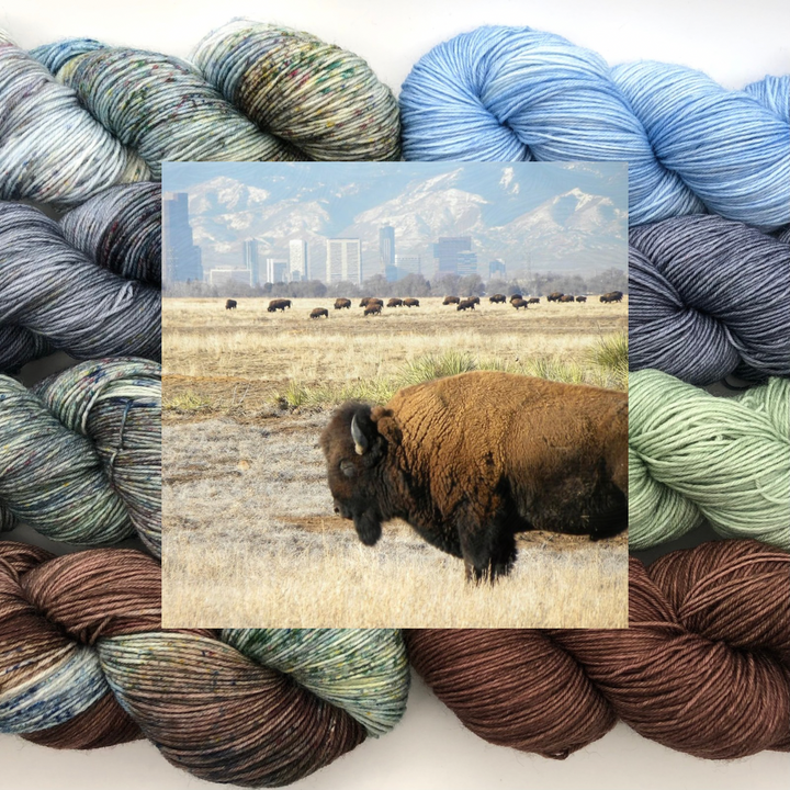Knitting Our National Parks - Road Trip Sock Yarn - Rocky Mountain Arsenal National Wildlife Refuge