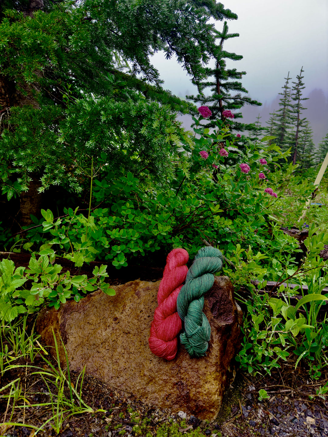Knitting Our National Parks - Sea Change Fibers - Mount Rainier National Park