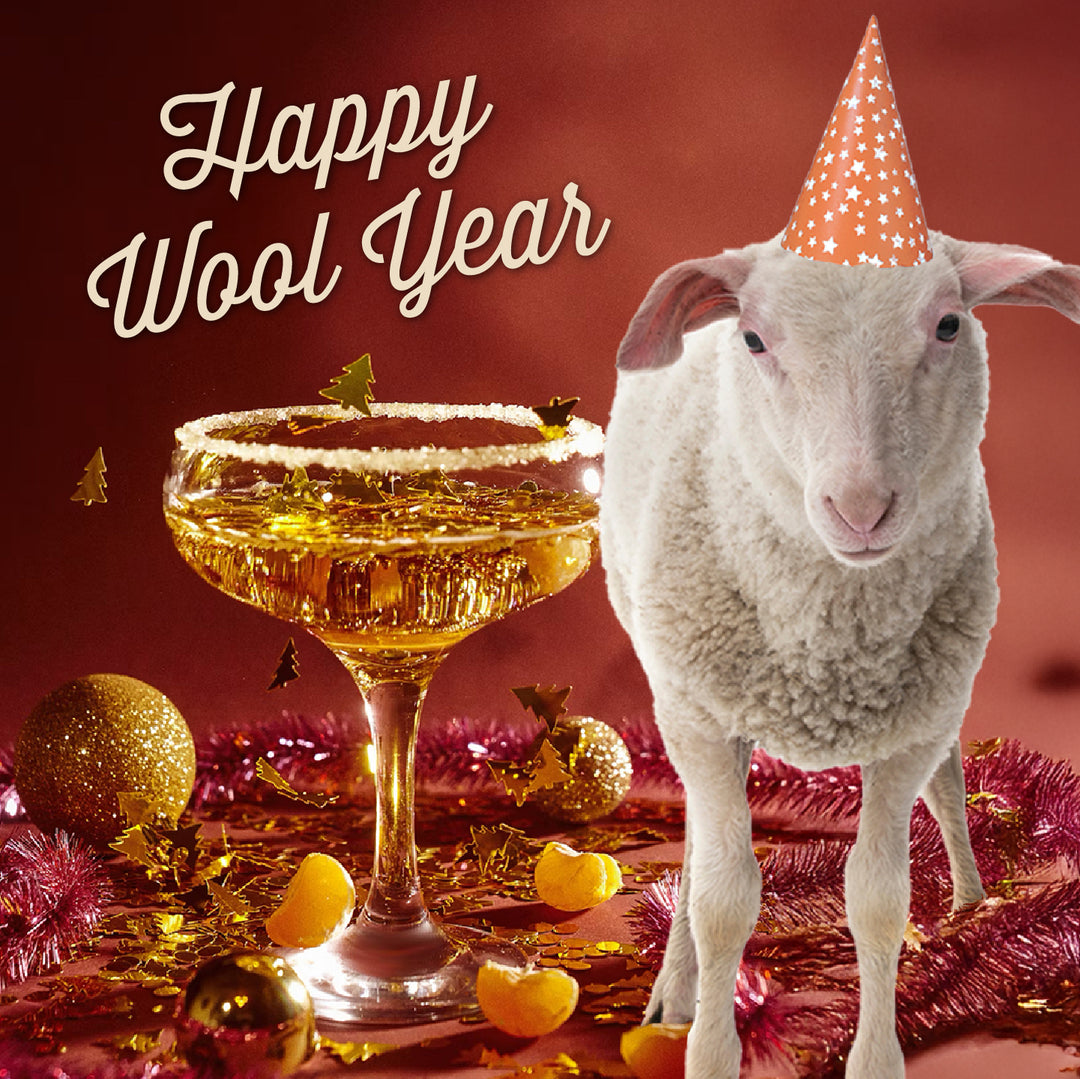 Happy Wool Year - A Holiday Yarn Countdown Box