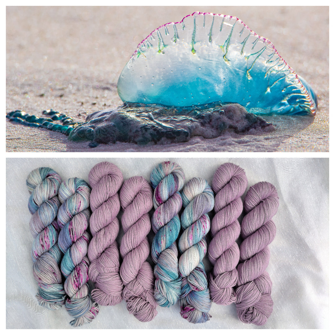 A man o' war in blue, purple and green washed up on the beach and a speckled and solid yarn in similar colors.