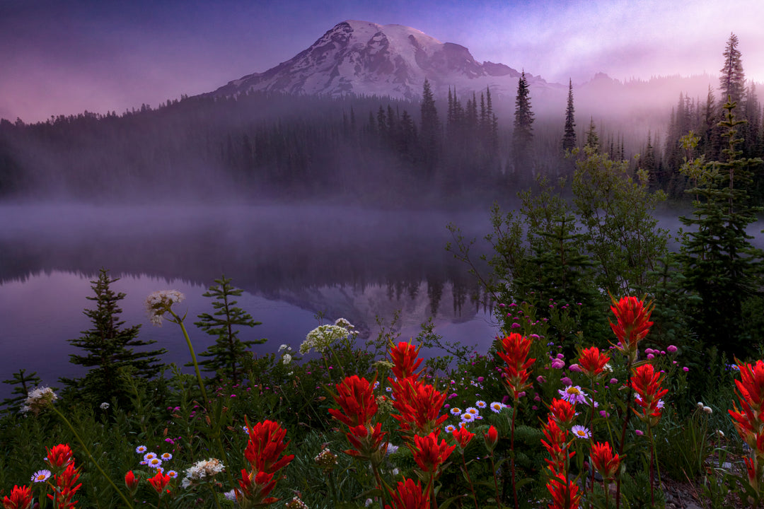 Red and purple wildflowers at the base of a mountain.