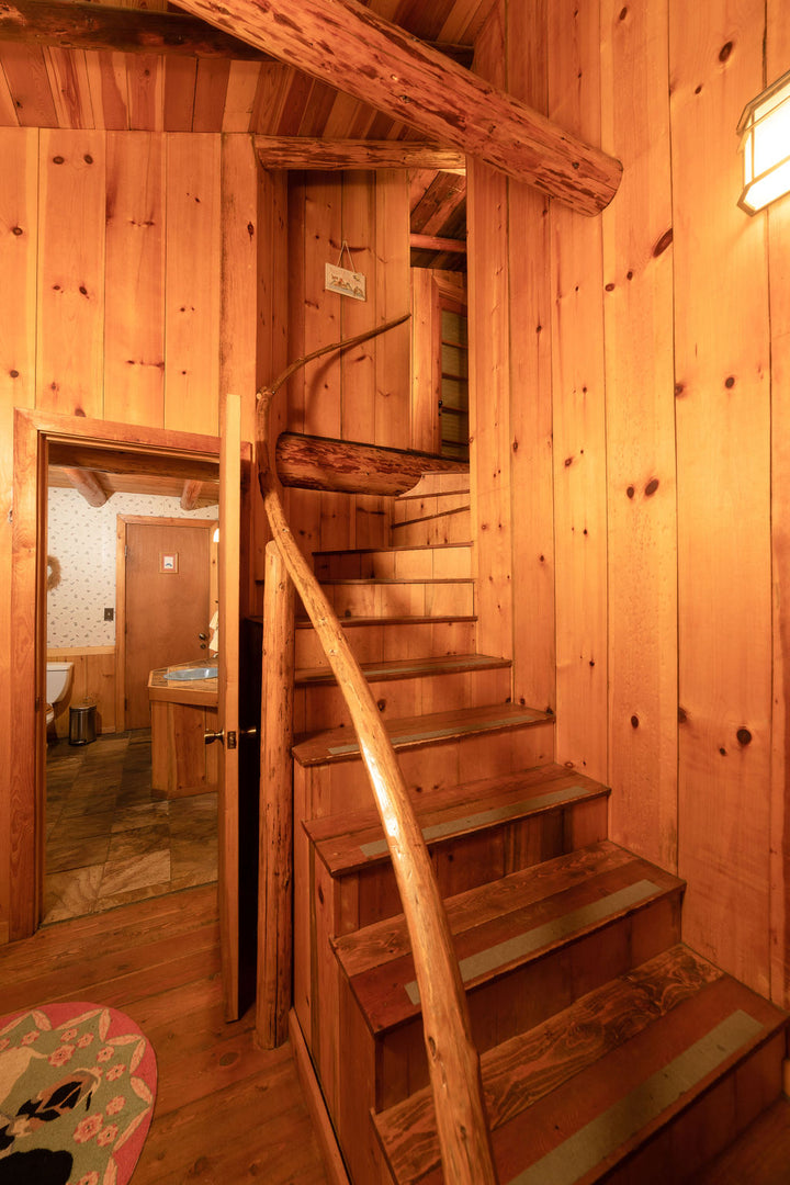 Mount Rainier Retreat - The Nest