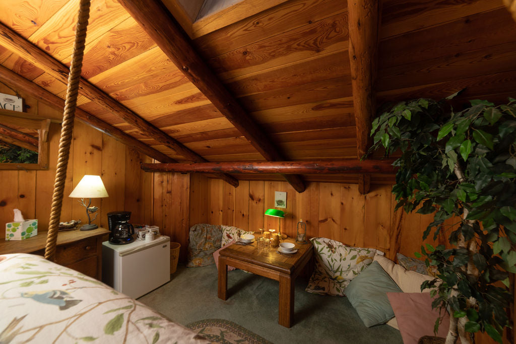 Mount Rainier Retreat - The Nest