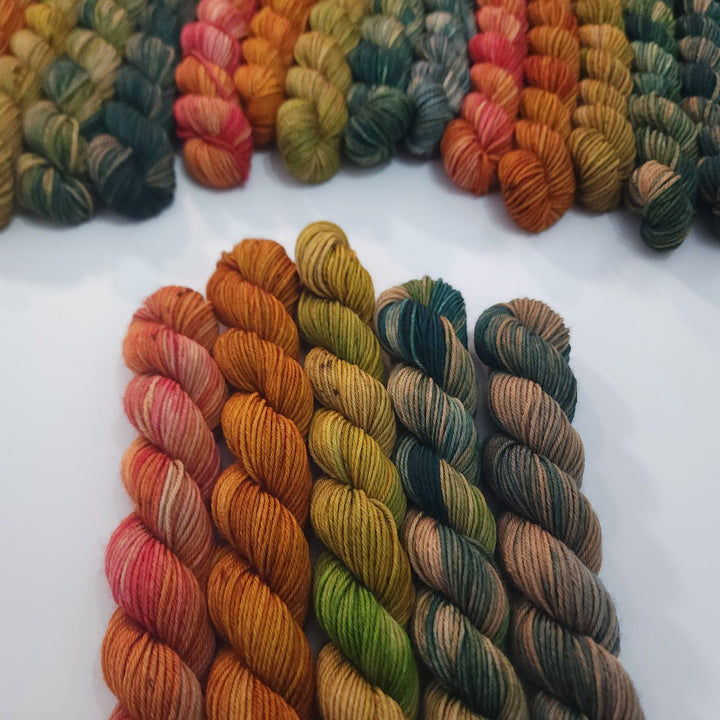 Five mini skeins of hand-dyed yarn in colors that range from shades of pink, orange, and yellow to green and blue, with subtle variegations.