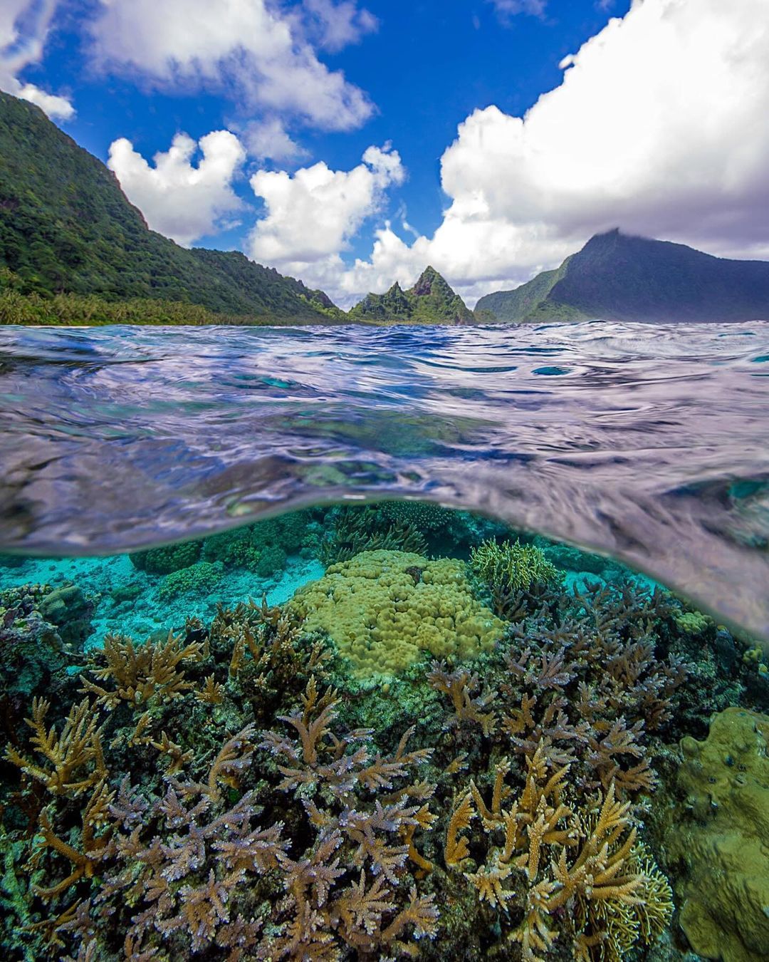 An underwater view showing coral and marine life and an above-water view capturing the landscape of an island with lush green mountains and a clear sky.