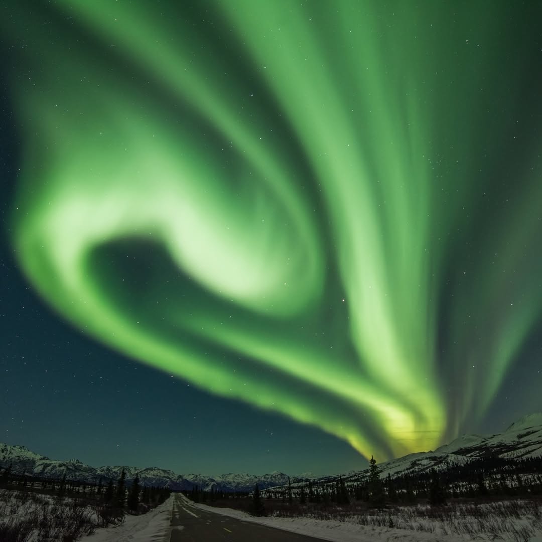 A wave of electric green light swirls in a blue sky above snow-covered mountains and spruce trees.