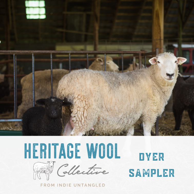 Heritage Wool Collective Dyer Sampler Subscription