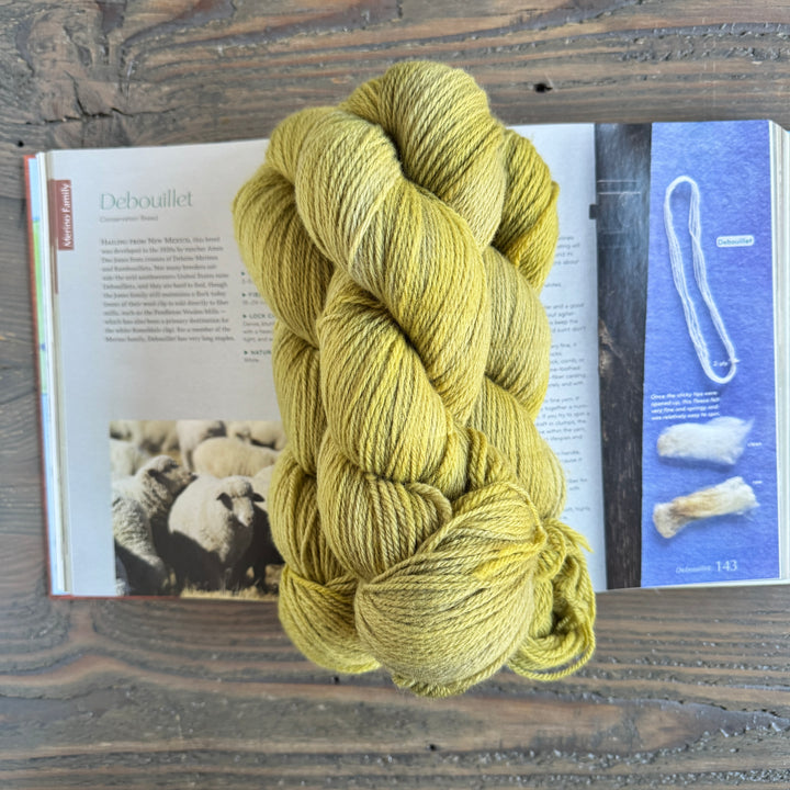 Heritage Wool Collective - Debouillet Fingering - Winter Sunday