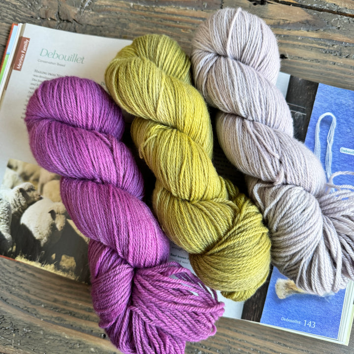 Heritage Wool Collective - Debouillet Fingering - Winter Sunday