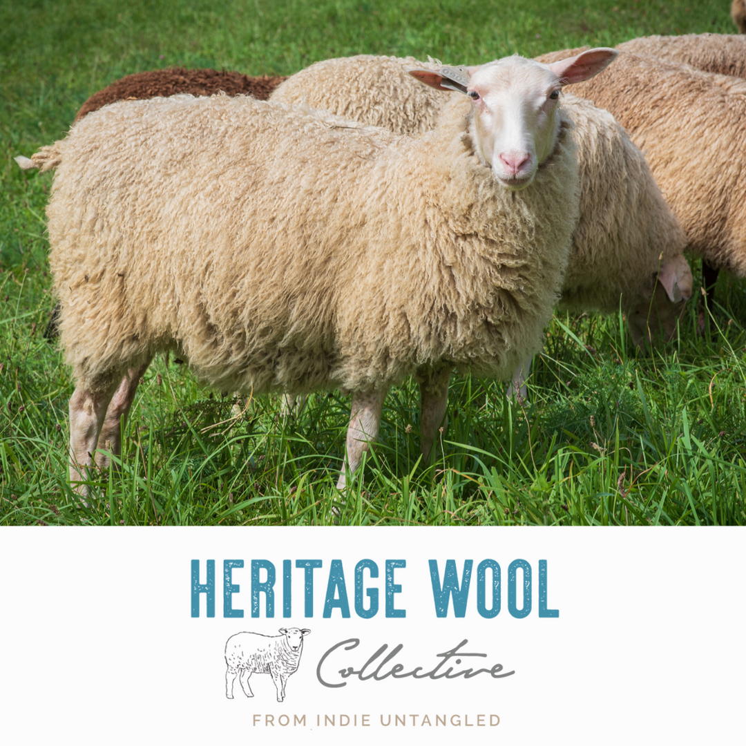 Heritage Wool Collective Hand-dyed Yarn Subscription