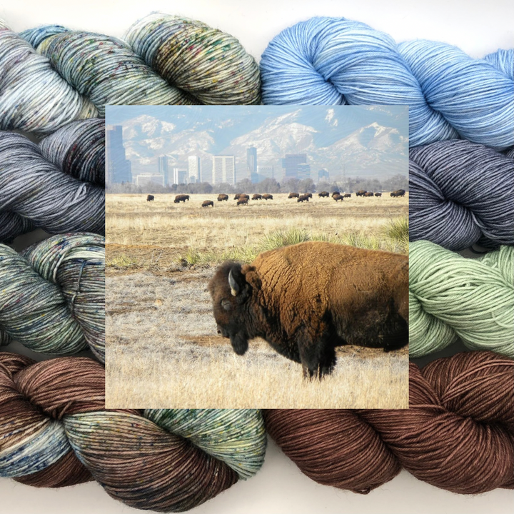 Knitting Our National Parks - Road Trip Sock Yarn - Rocky Mountain Arsenal National Wildlife Refuge - Preorder