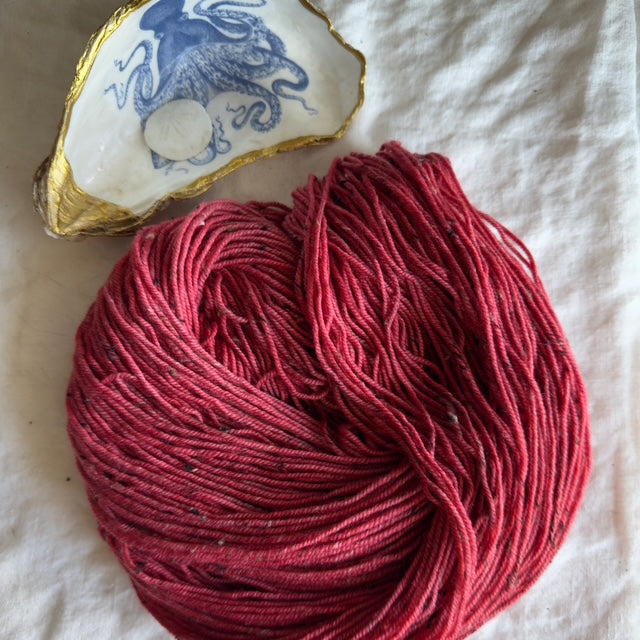 Knitting Our National Parks - Sea Change Fibers - Mount Rainier National Park