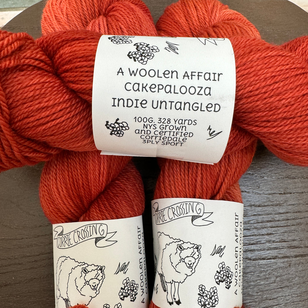 Skein band with A Woolen Affair, Cakepalooza and Indie Untangled on orange yarn.