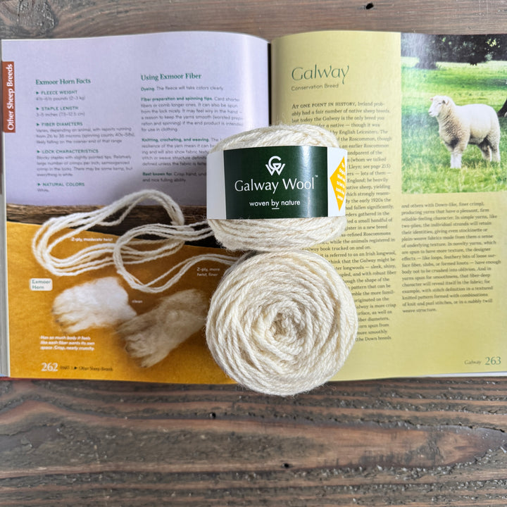 Galway Wool - DK and Aran Preorder