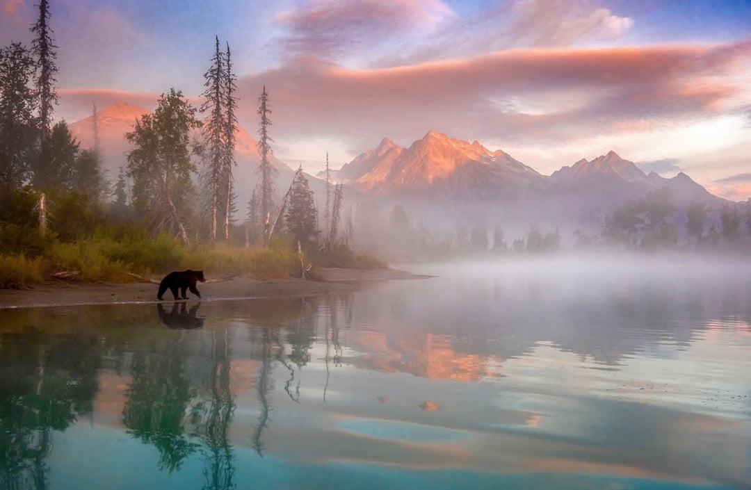 Knitting Our National Parks - Yarnaceous Fibers - Lake Clark National Park - Preorder