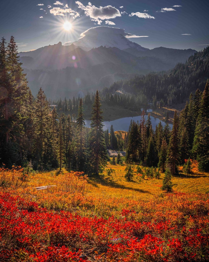 A scenic landscape with a sunlit mountain, a forest, a lake and vibrant autumn foliage in shades of red and orange.