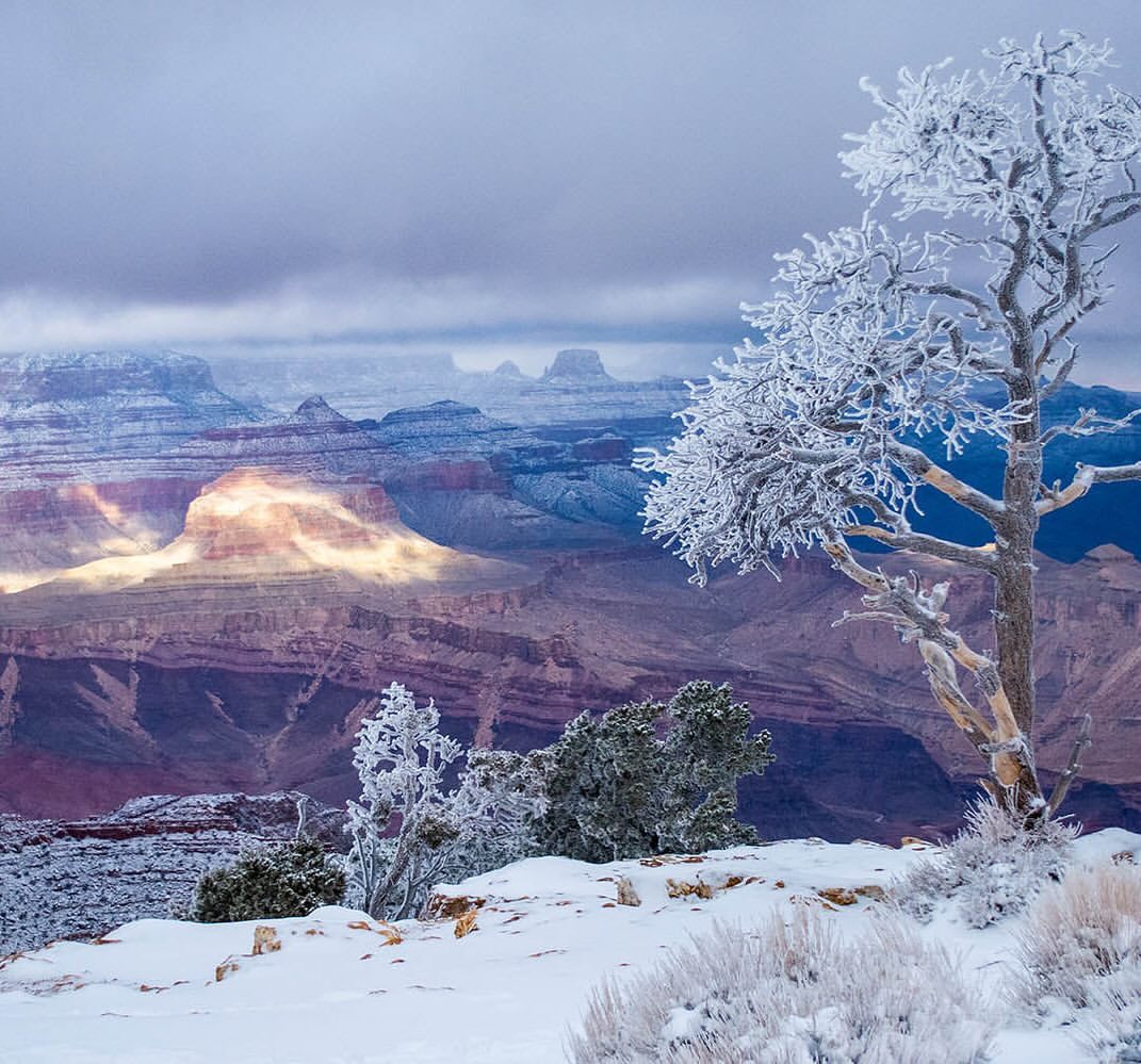 Knitting Our National Parks - Sincere Fiber Co. - Grand Canyon National Park