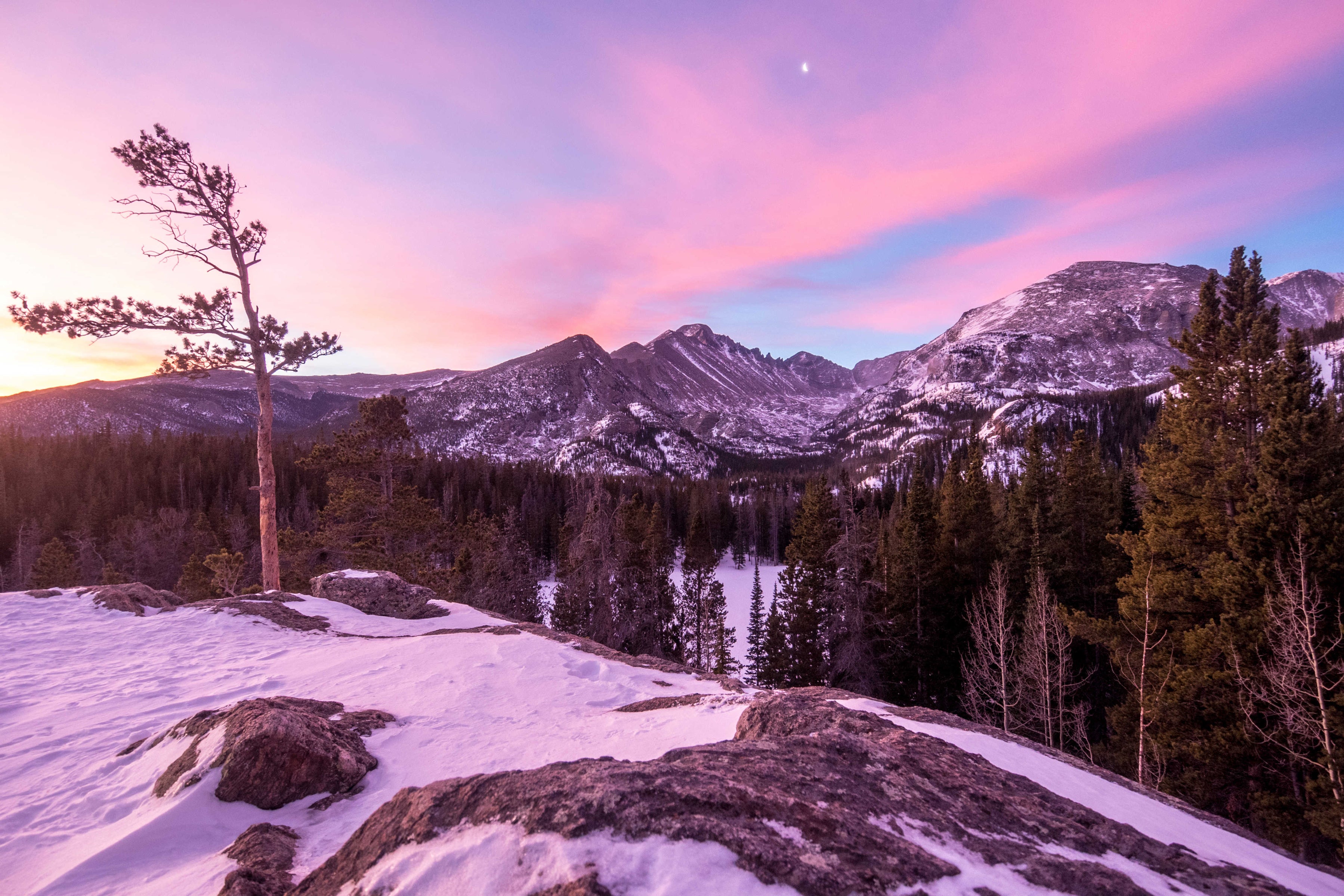 Ring in the New Year with Nature: Your Guide to National Parks on New Year's Day