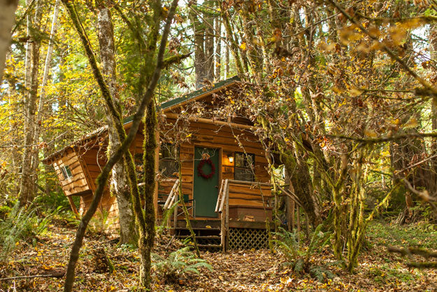 Mount Rainier Retreat - Camper Cabin - Trail's End