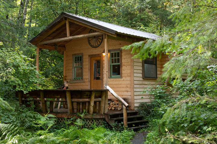 Mount Rainier Retreat - Camper Cabin - Tumbleweed