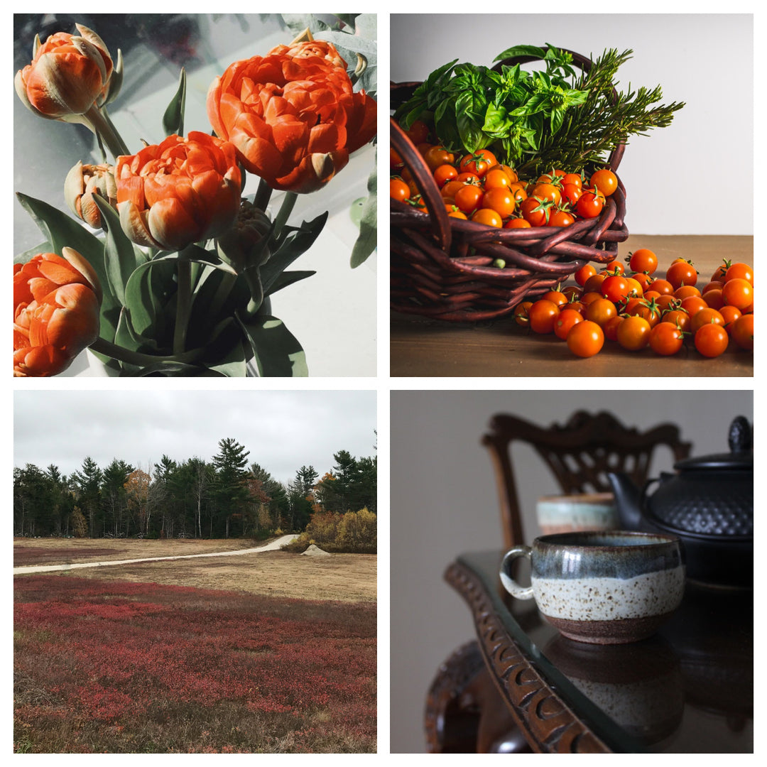Orange flowers, a basket of tomatoes, a ceramic mug and a field of blueberries.