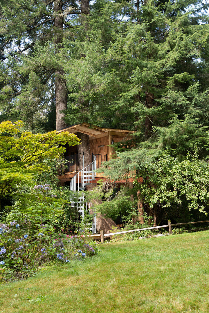 Mount Rainier Retreat - Treehouse