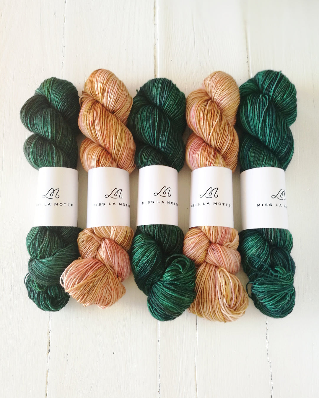 Wool & Pine Peperomia Preorder - Miss La Motte Lustre